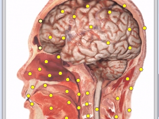 Diagnostica analizele corpului uman